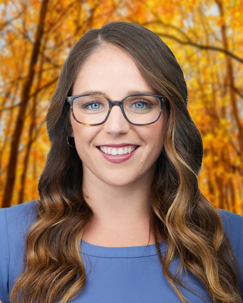 Kristin Lewis Ph D Madison Park Psychological Services