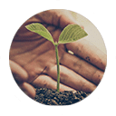 dr-yasmine-saad-madison-park-testimonials