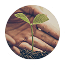 dr-yasmine-saad-madison-park-testimonials