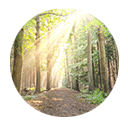 dr-yasmine-saad-madison-park-testimonials