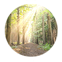 dr-yasmine-saad-madison-park-testimonials