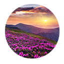 dr-yasmine-saad-madison-park-testimonials